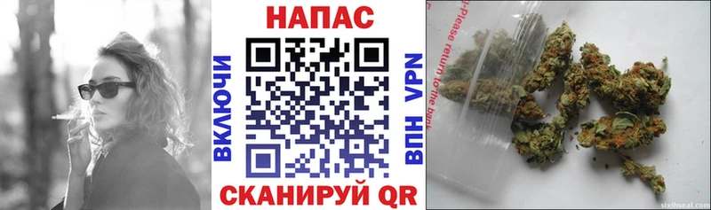 блэк спрут зеркало  Ишим  Бошки марихуана White Widow  где найти наркотики 